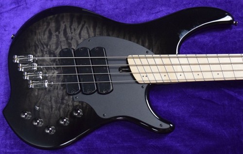 Dingwall combustion string - combustion, 4-string